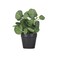 Mini Fake Plants Set of 3 - Small Lifelike Artificial Potted Plants in Ceramic Pots for Home, Office Desk, Bathroom Shelf, Farmhouse Decor